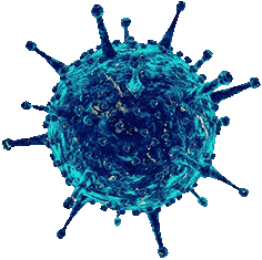 коронавирус