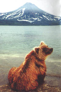 Penisola di Kamchatka